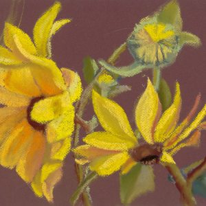 Yellow Flowers