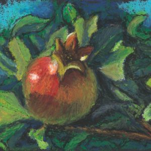 Pomegranate Among Leaves