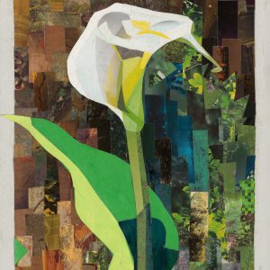 Kala-White Bloom